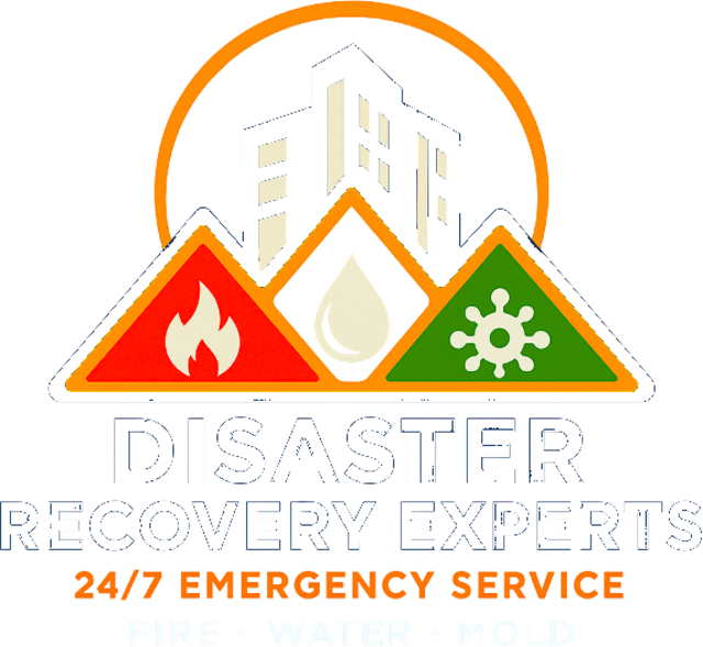 Disaster Recovery Experts Logo