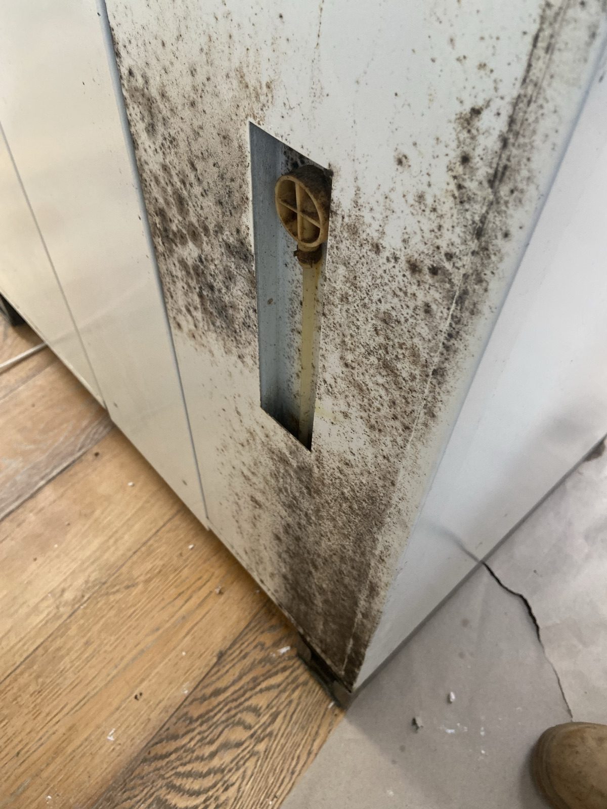 Heavy mold growth on a wall and floor vent requiring professional remediation