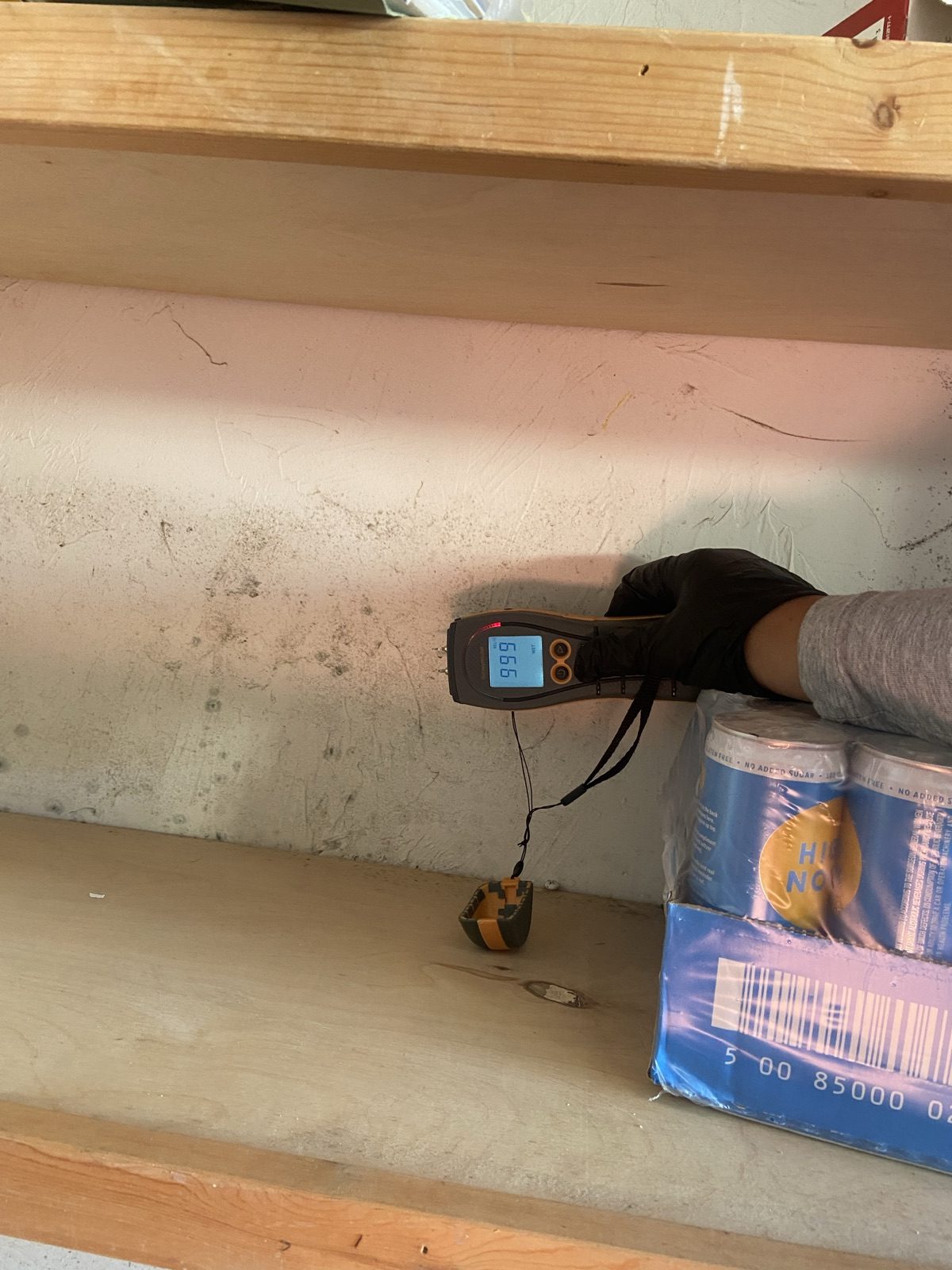 Moisture meter reading taken on an interior wall to monitor drying progress