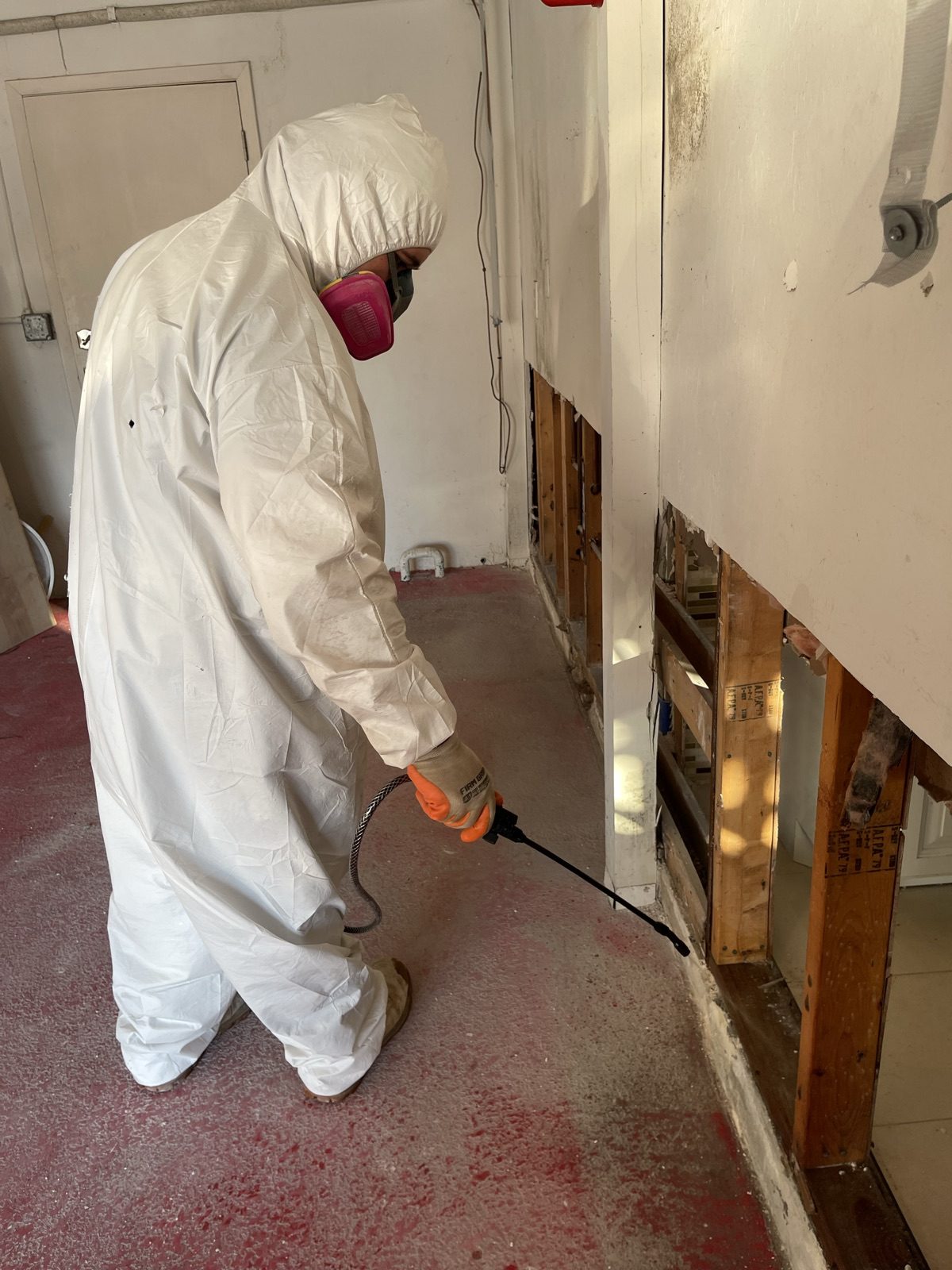 Technician in full PPE applying antimicrobial treatment to a wall after drywall removal